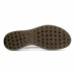 ECCO Men's Biom Hybrid Golf Shoes -Golf Bag Sales ecco biom hybrid golf shoes white silver metallic 08 58779.1644873790