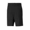 Puma 101 South Shorts