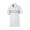 Puma Mattr Canyon Polo