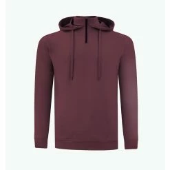 SWANNIES VanDyke Hoodie -Golf Bag Sales swannies vandyke hoodie maroon 01 80897.1679426278
